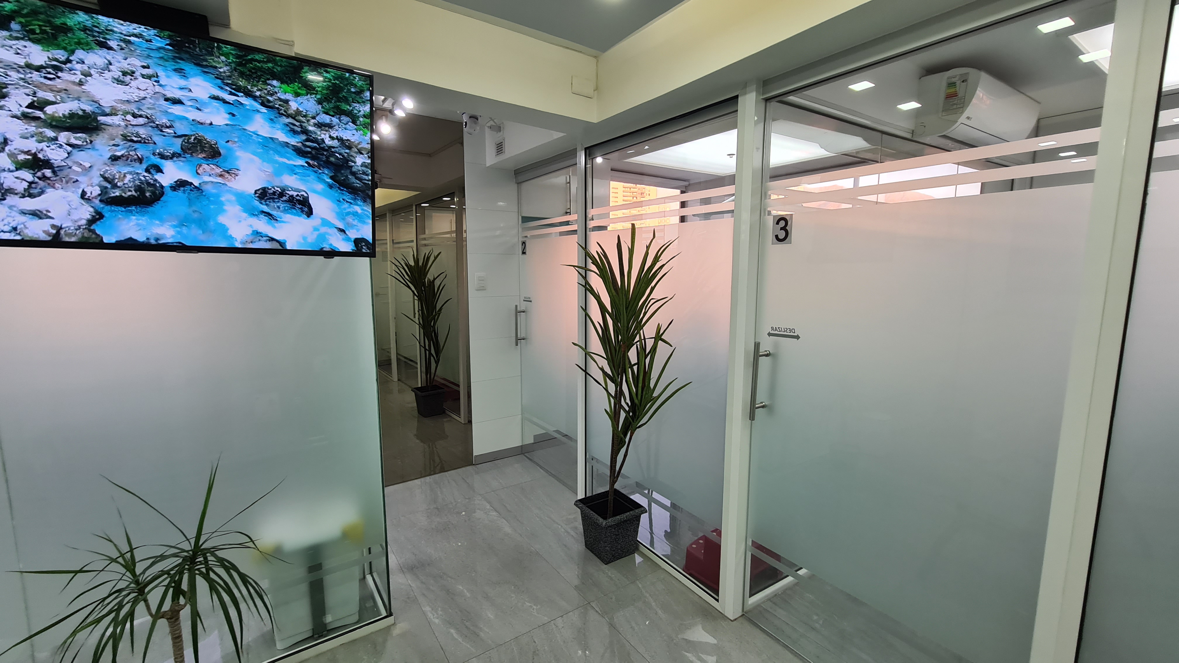 Recepción de centro dental Dalí en la Florida, Santiago
